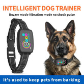 Rechargeable Anti-Bark Dog Collar | Waterproof with Digital Display - Ocean Blue Pet