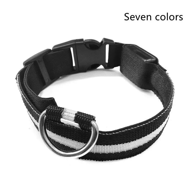 Rechargeable LED Dog Collar | Glow in the Dark Safety - Ocean Blue