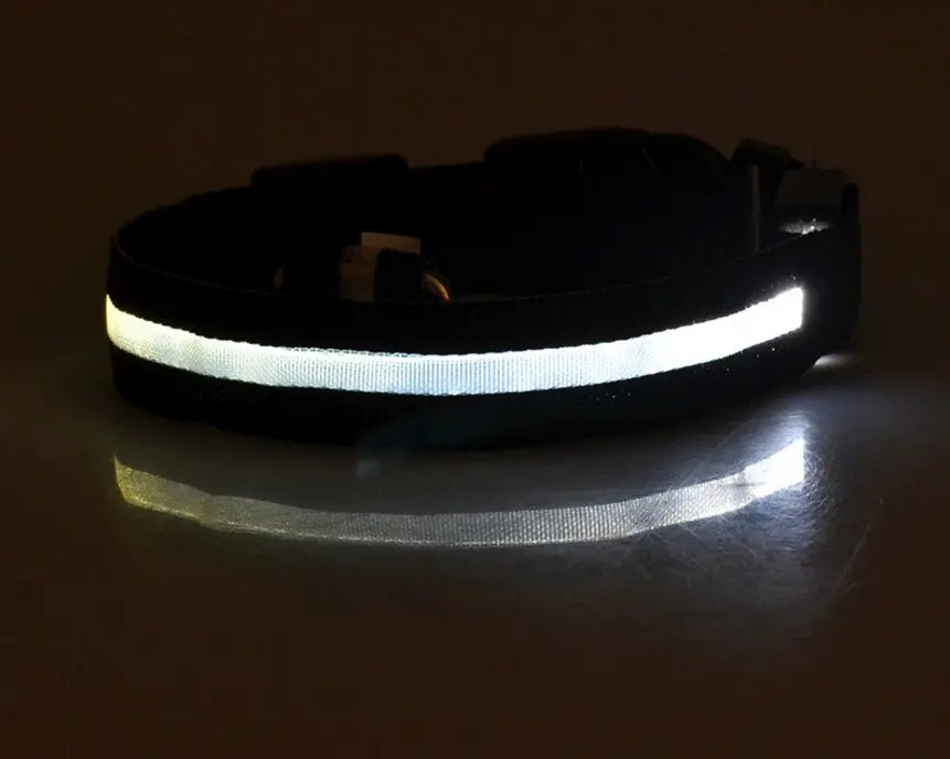 Rechargeable LED Dog Collar | Glow in the Dark Safety - Ocean Blue