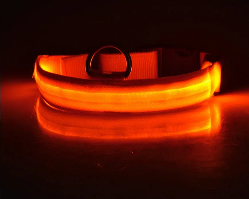 Rechargeable LED Dog Collar | Glow in the Dark Safety - Ocean Blue