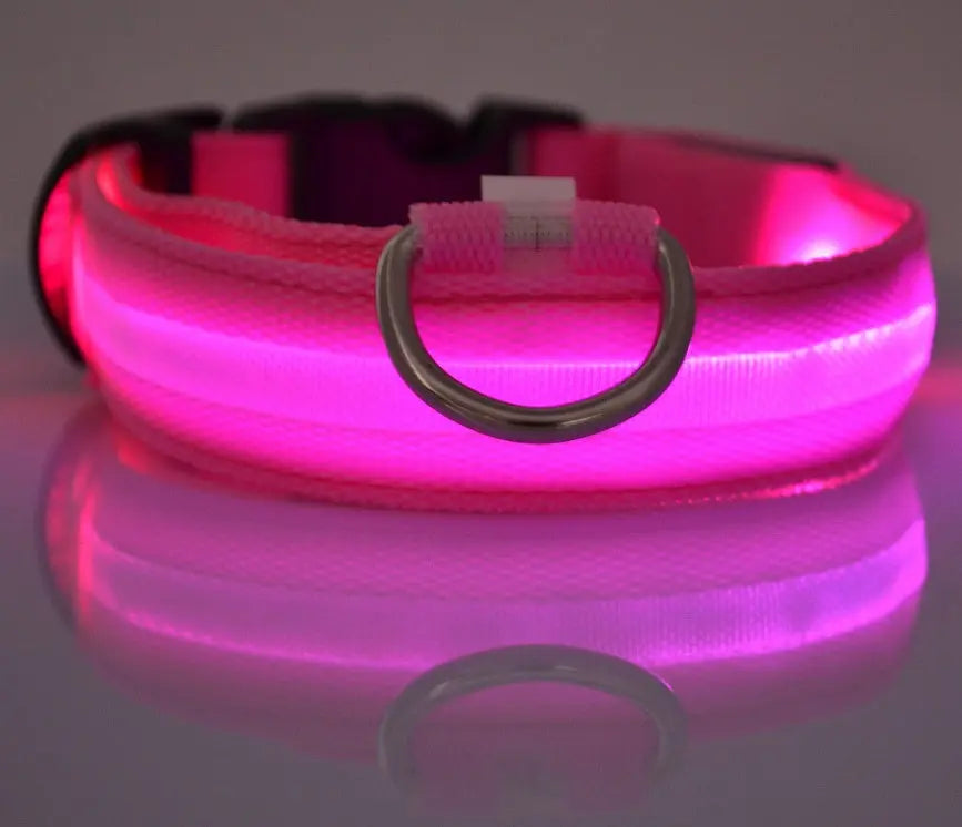 Rechargeable LED Dog Collar | Glow in the Dark Safety - Ocean Blue