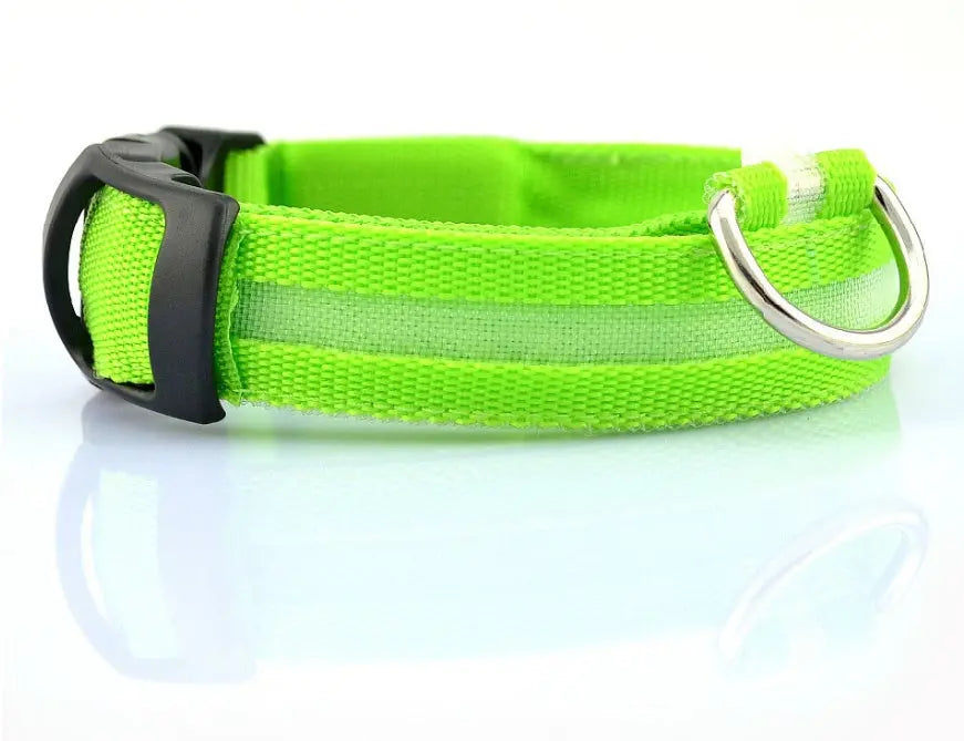 Rechargeable LED Dog Collar | Glow in the Dark Safety - Ocean Blue