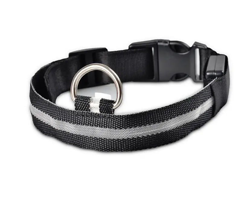 Rechargeable LED Dog Collar | Glow in the Dark Safety - Ocean Blue