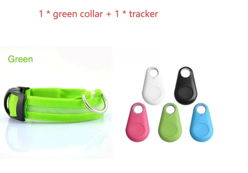 Rechargeable LED Dog Collar| Glow in the dark
