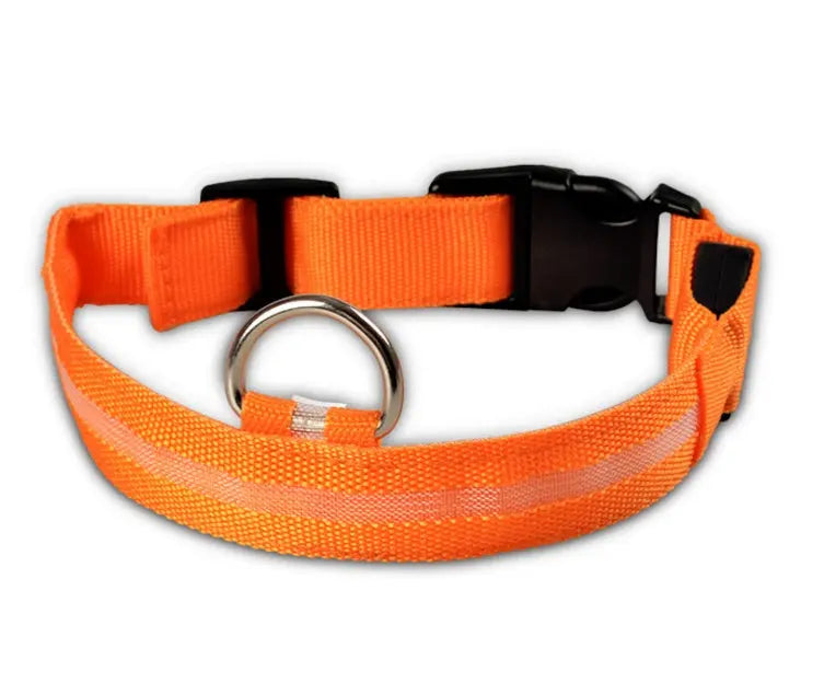 Rechargeable LED Dog Collar | Glow in the Dark Safety - Ocean Blue