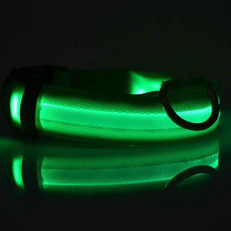 Rechargeable LED Dog Collar | Glow in the Dark Safety - Ocean Blue