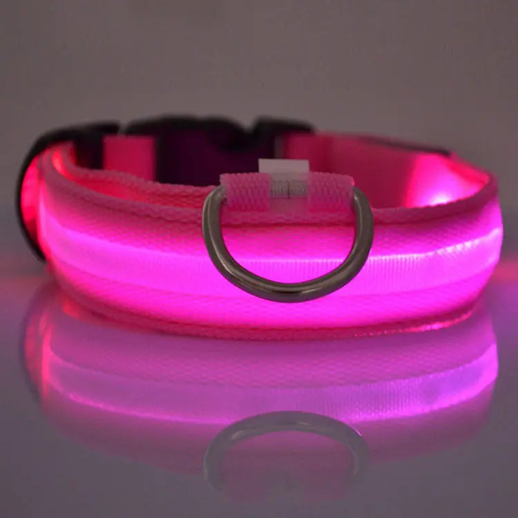 Rechargeable LED Dog Collar| Glow in the dark