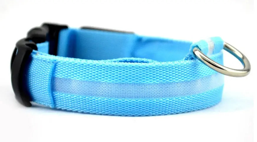 Rechargeable LED Dog Collar | Glow in the Dark Safety - Ocean Blue