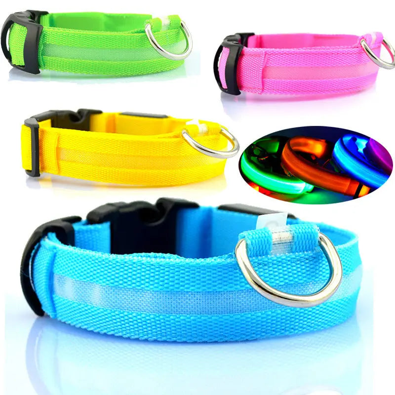 Rechargeable LED Dog Collar| Glow in the dark