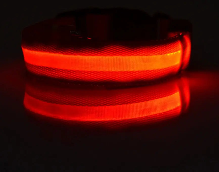 Rechargeable LED Dog Collar | Glow in the Dark Safety - Ocean Blue