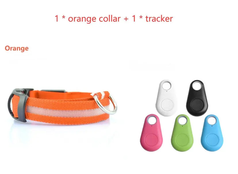 Rechargeable LED Dog Collar| Glow in the dark