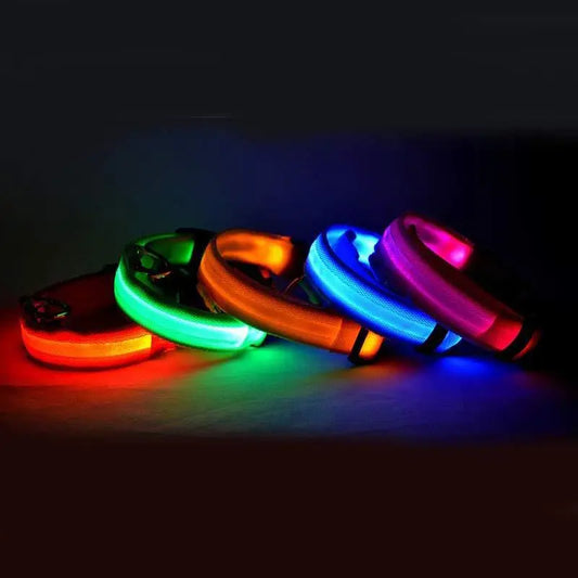 Rechargeable LED Dog Collar | Glow in the Dark Safety - Ocean Blue Pet