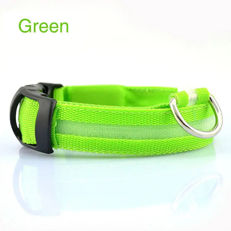 Rechargeable LED Dog Collar| Glow in the dark