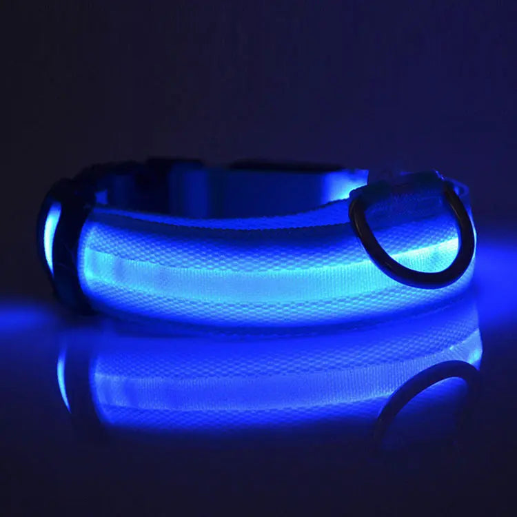 Rechargeable LED Dog Collar| Glow in the dark