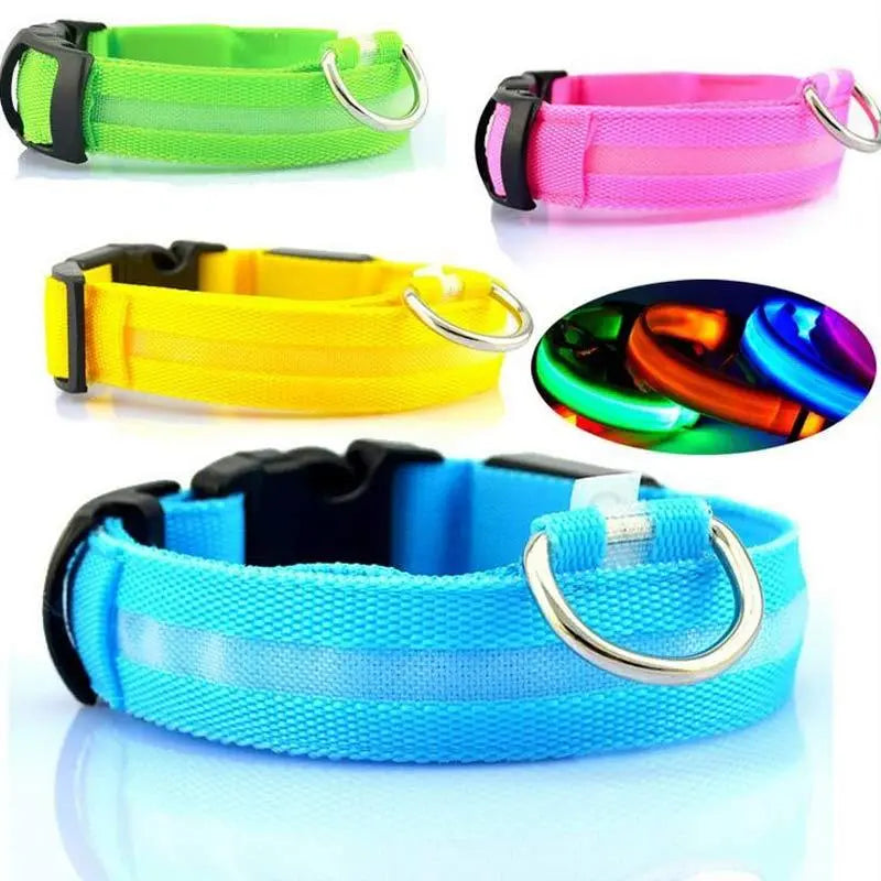 Rechargeable LED Dog Collar | Glow in the Dark Safety - Ocean Blue