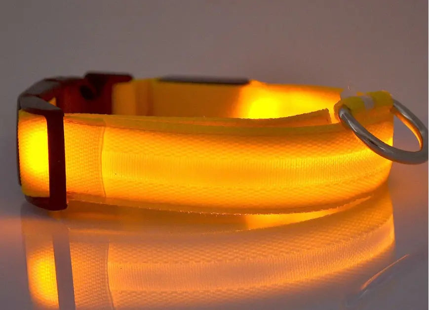 Rechargeable LED Dog Collar | Glow in the Dark Safety - Ocean Blue