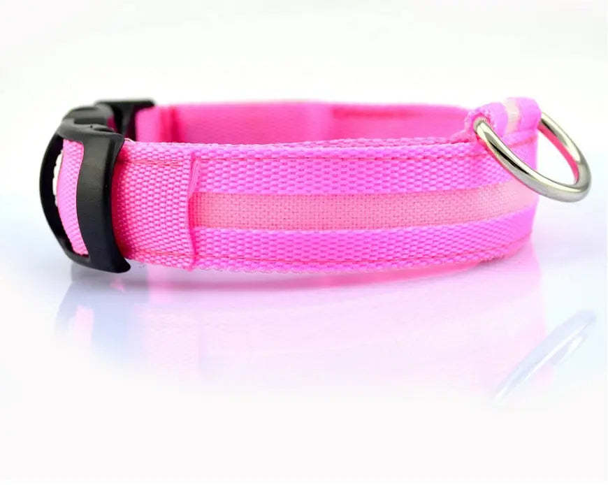 Rechargeable LED Dog Collar | Glow in the Dark Safety - Ocean Blue