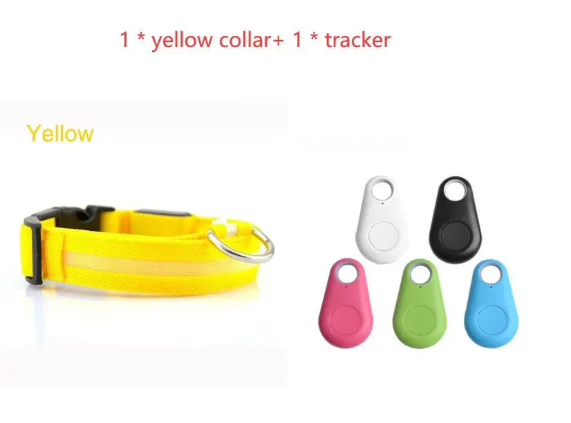 Rechargeable LED Dog Collar| Glow in the dark