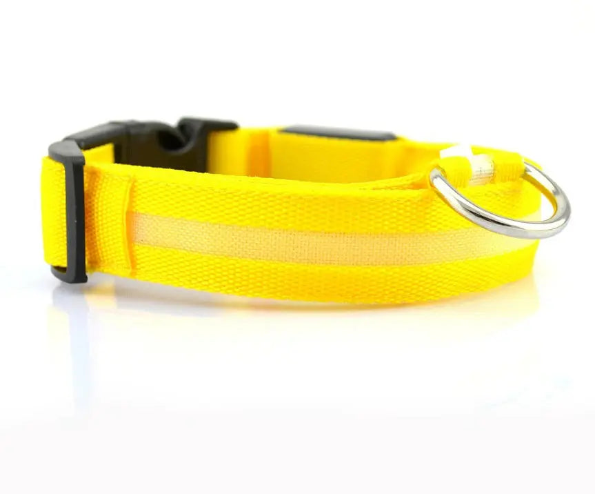 Rechargeable LED Dog Collar | Glow in the Dark Safety - Ocean Blue