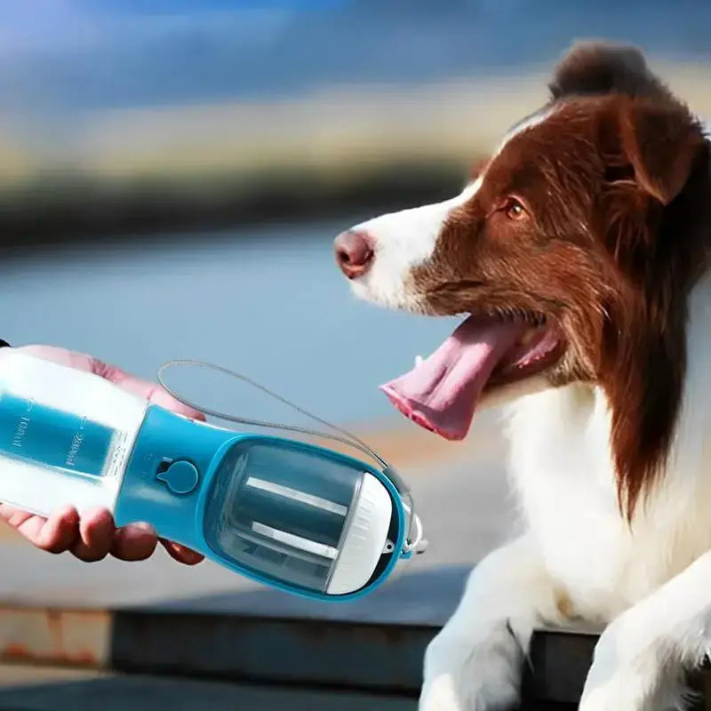 "Multi-Functional Dog Water Bottle with Food & Waste Bag Holder" - Ocean Blue