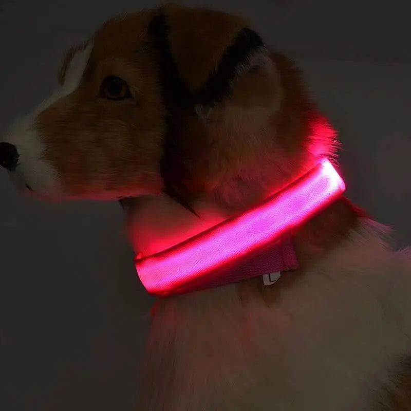 Rechargeable LED Dog Collar | Glow in the Dark Safety - Ocean Blue