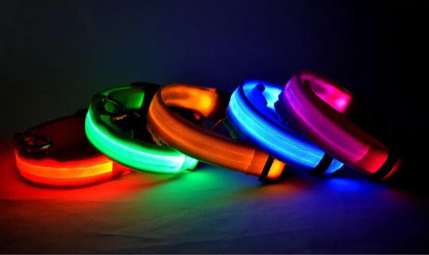Rechargeable LED Dog Collar | Glow in the Dark Safety - Ocean Blue Pet