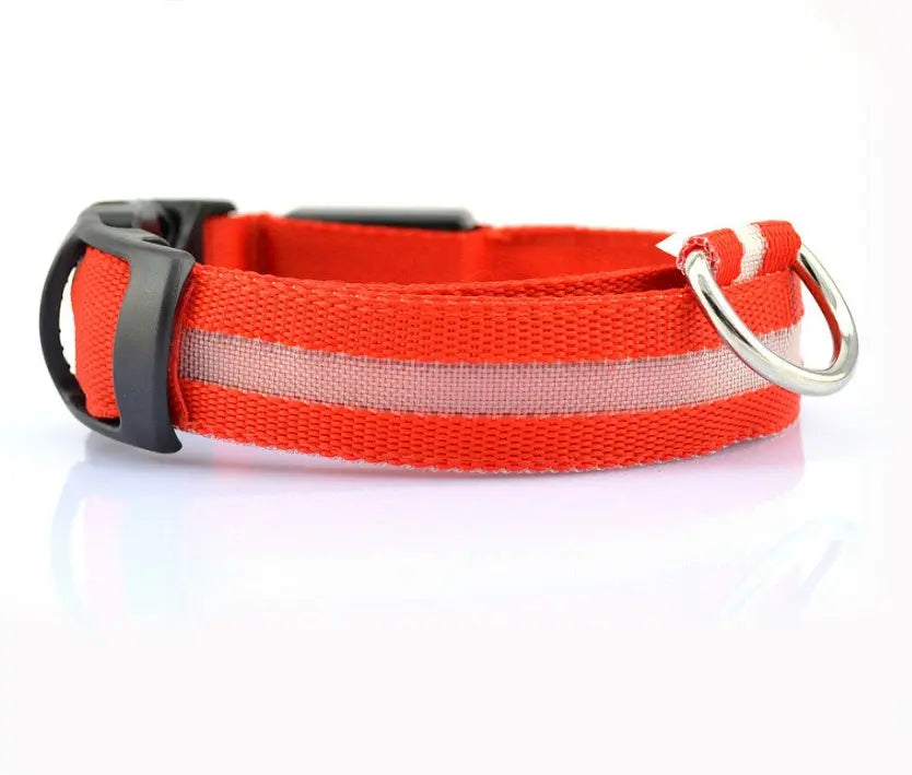 Rechargeable LED Dog Collar | Glow in the Dark Safety - Ocean Blue