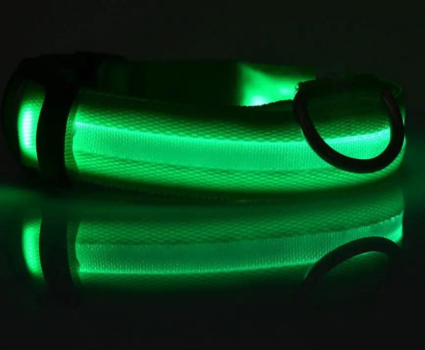 Rechargeable LED Dog Collar | Glow in the Dark Safety - Ocean Blue Pet
