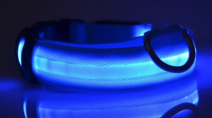 Rechargeable LED Dog Collar | Glow in the Dark Safety - Ocean Blue