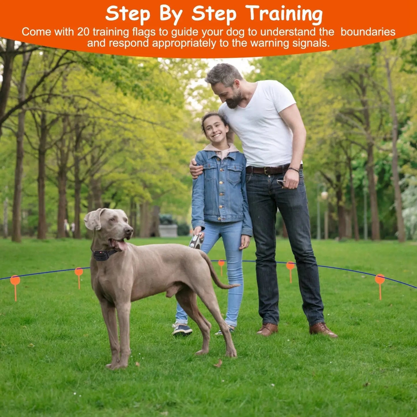 Wireless Dog Fence System – Waterproof Receiver | Adjustable Levels