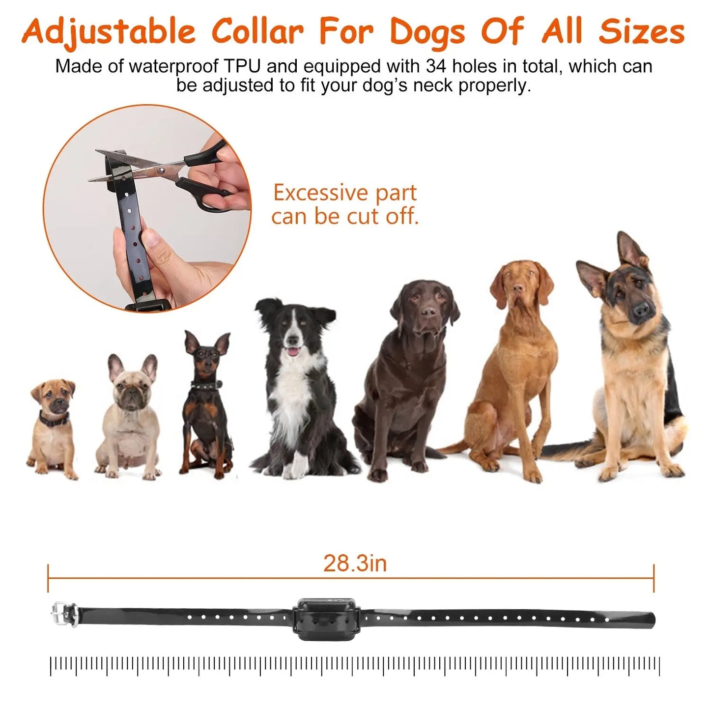 Wireless Dog Fence System – Waterproof Receiver | Adjustable Levels