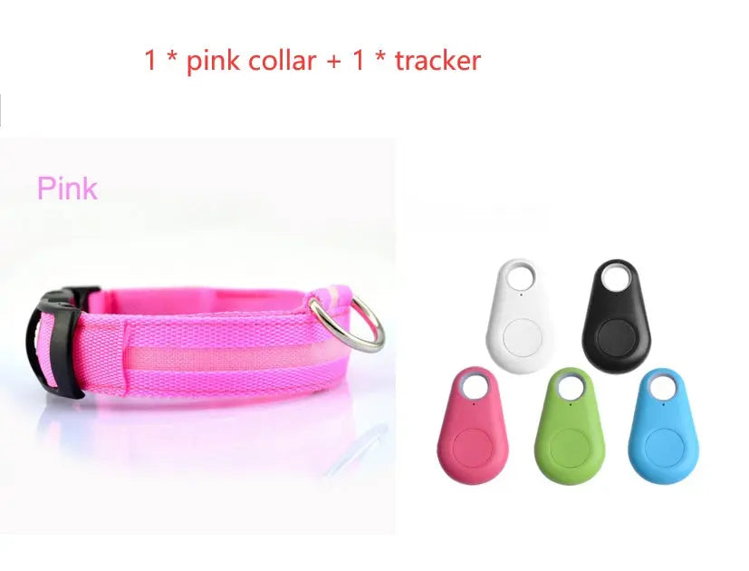Rechargeable LED Dog Collar| Glow in the dark