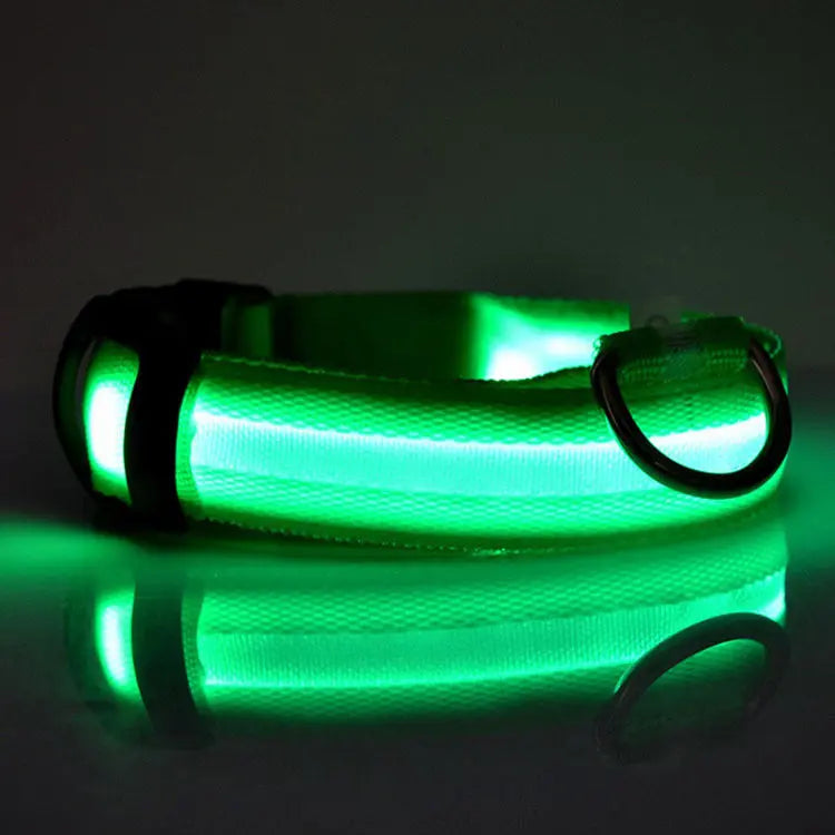 Rechargeable LED Dog Collar| Glow in the dark