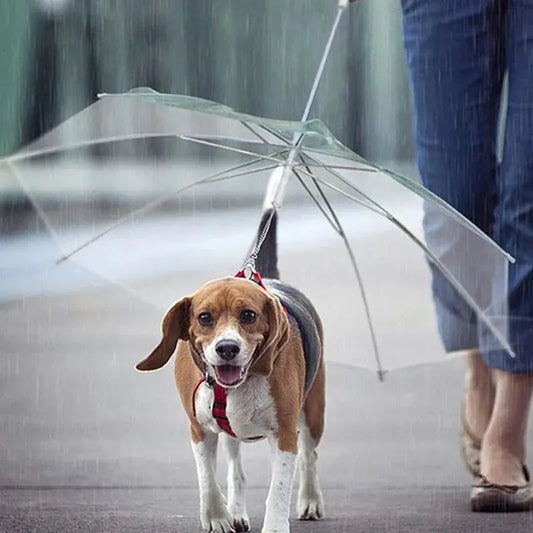 Creative Leash Puppy Raincoat With Dog Leash Ocean Blue