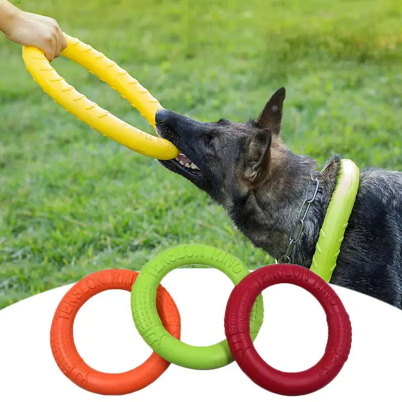 Interactive Floating Dog Toy - Training Ring Puller Ocean Blue