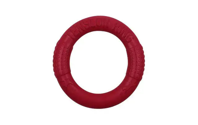 Interactive Floating Dog Toy - Training Ring Puller Ocean Blue