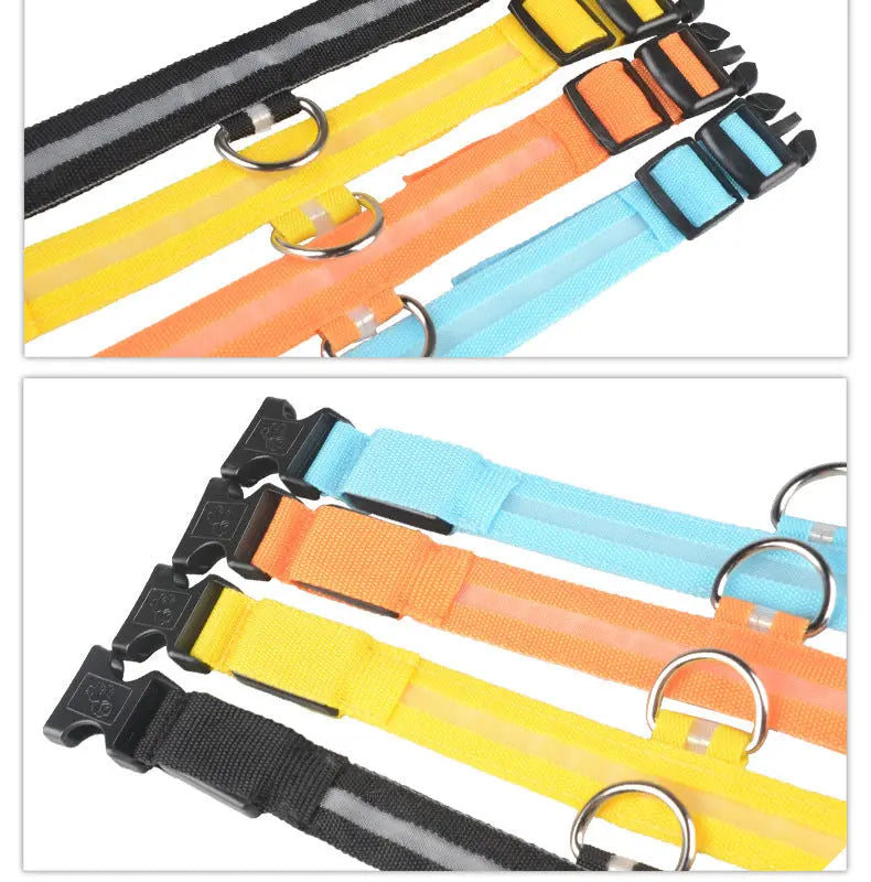 Rechargeable LED Dog Collar | Glow in the Dark Safety - Ocean Blue