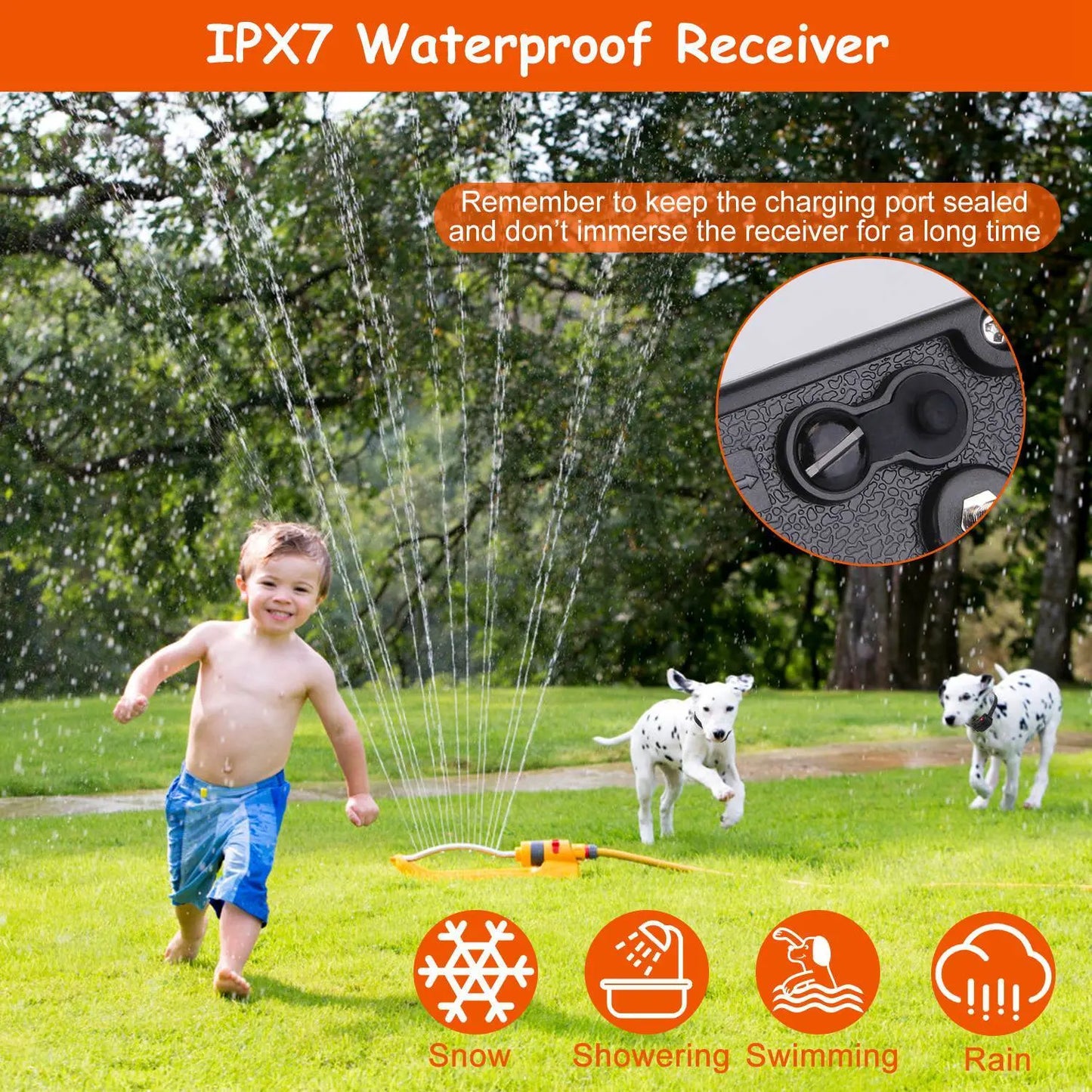 Wireless Dog Fence System – Waterproof Receiver | Adjustable Levels