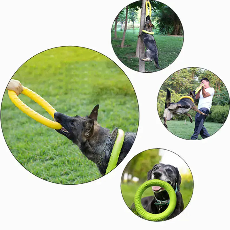 Interactive Floating Dog Toy - Training Ring Puller Ocean Blue