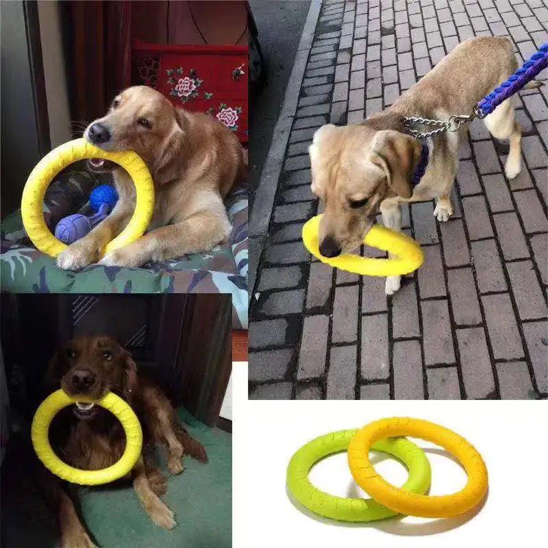 Interactive Floating Dog Toy - Training Ring Puller Ocean Blue